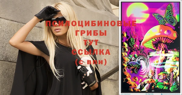 2c-b Михайлов