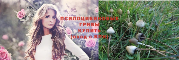 а пвп мука Михайловка