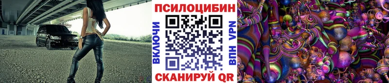 дарнет шоп  Балаково  Псилоцибиновые грибы Psilocybine cubensis 
