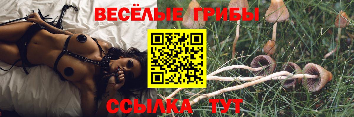 Псилоцибиновые грибы MAGIC MUSHROOMS  Вход с VPN  Балаково 